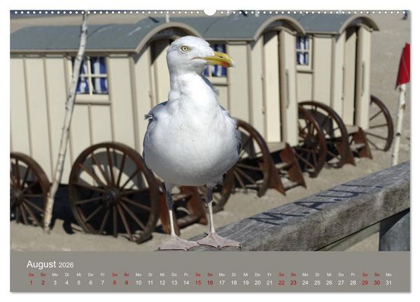 Produktbild: Norderney - Meine Trauminsel (hochwertiger Premium Wandkalender 2026 DIN A2 quer), Kunstdruck in Hochglanz