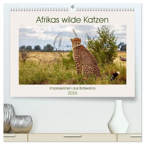 Produktbild: Afrikas wilde Katzen (hochwertiger Premium Wandkalender 2026 DIN A2 quer), Kunstdruck in Hochglanz