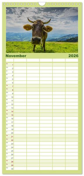 Produktbild: Familienplaner 2026 - Allg&auml;uer Sch&ouml;nheiten Allg&auml;u - Land der K&uuml;he mit 5 Spalten (Wandkalender, 21 x 45 cm) CALVENDO