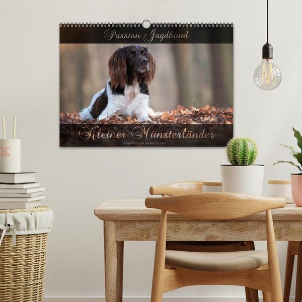 Produktbild: Passion Jagdhund - Kleiner M&uuml;nsterl&auml;nder (Wandkalender 2026 DIN A3 quer), CALVENDO Monatskalender