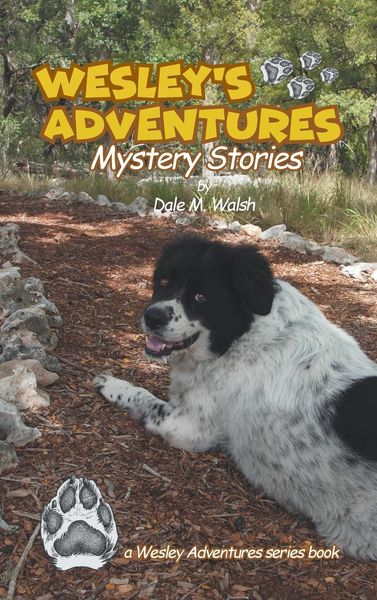 Produktbild: Wesley's Adventures