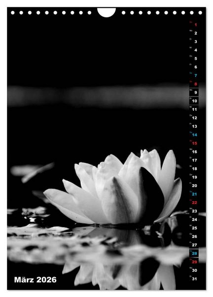 Produktbild: Blumige Graustufen - Schwarz und Wei&szlig; (Wandkalender 2026 DIN A4 hoch), CALVENDO Monatskalender