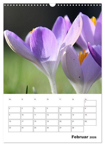 Produktbild: BL&Uuml;TENZAUBER (Wandkalender 2026 DIN A3 hoch), CALVENDO Monatskalender