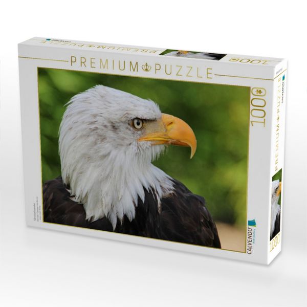 Produktbild: CALVENDO Puzzle Weisskopfseeadler | 1000 Teile Lege-Gr&ouml;&szlig;e 64x48cm Foto-Puzzle f&uuml;r gl&uuml;ckliche Stunden