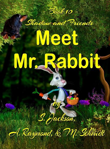 Produktbild: Shadow and Friends Meet Mr. Rabbit