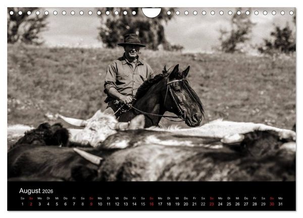Produktbild: Westernreiten (Wandkalender 2026 DIN A4 quer), CALVENDO Monatskalender