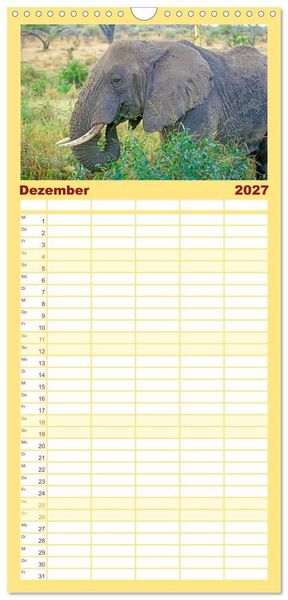 Produktbild: Familienplaner 2027 - Elefanten in der Serengeti mit 5 Spalten (Wandkalender, 21 x 45 cm) CALVENDO