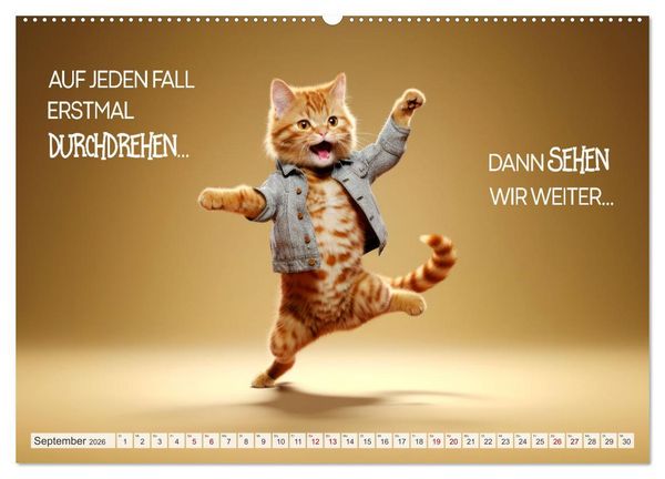 Produktbild: KATZEN-IRONIE Lach mal wieder (hochwertiger Premium Wandkalender 2026 DIN A2 quer), Kunstdruck in Hochglanz