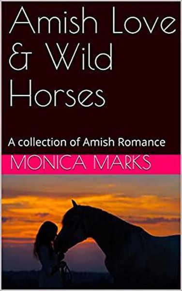 Produktbild: Amish Love & Wild Horses