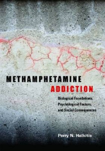 Produktbild: Methamphetamine Addiction