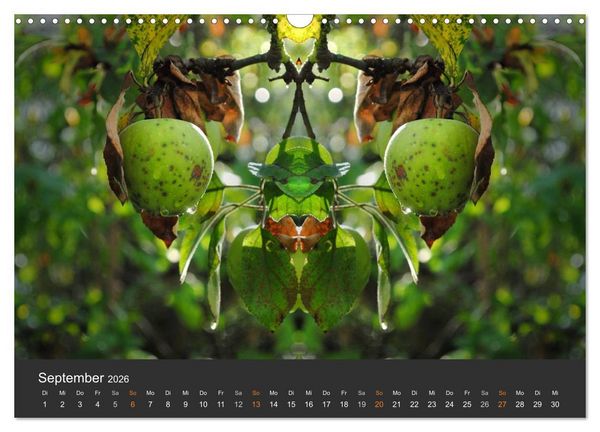Produktbild: Spiegelwelten - Im Reich der Naturwesen (Wandkalender 2026 DIN A3 quer), CALVENDO Monatskalender