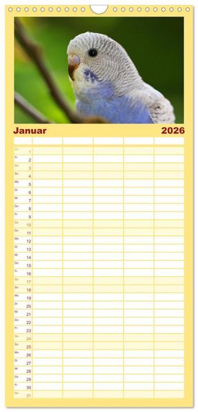 Produktbild: Familienplaner 2026 - Wellensittichkalender! - Das Original mit 5 Spalten (Wandkalender, 21 x 45 cm) CALVENDO