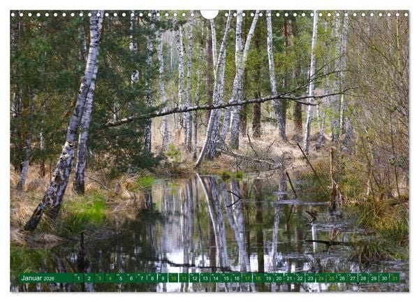 Produktbild: Der Loben. Im Reich der Moorgeister und Kreuzottern- S&uuml;dbrandenburgs letztes gro&szlig;es Moor (Wandkalender 2026 DIN A3 quer), CALVENDO Monatskalender