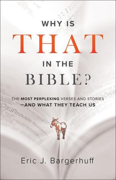 Produktbild: Why Is That in the Bible?
