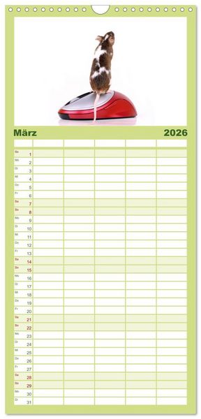 Produktbild: Familienplaner 2026 - S&uuml;&szlig;e M&auml;use und Coole Ratten mit 5 Spalten (Wandkalender, 21 x 45 cm) CALVENDO
