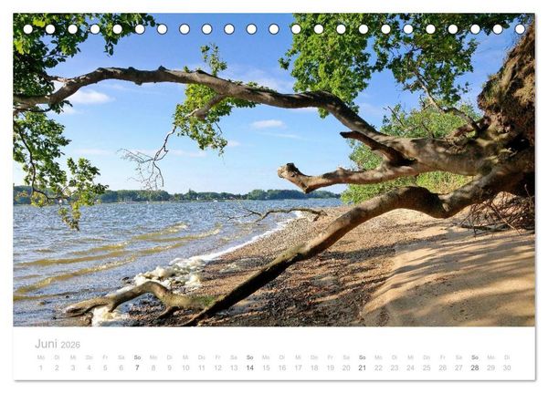 Produktbild: Zauberhafte Schlei (Tischkalender 2026 DIN A5 quer), CALVENDO Monatskalender
