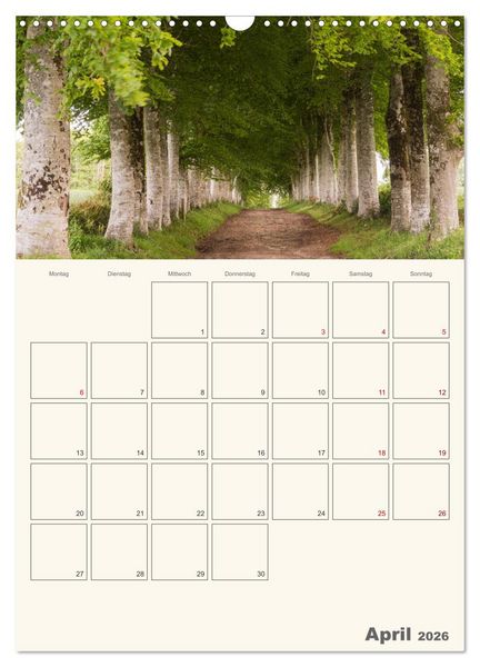 Produktbild: Sommertage in der Bretagne (Wandkalender 2026 DIN A3 hoch), CALVENDO Monatskalender