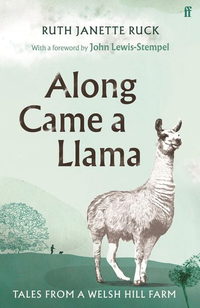 Produktbild: Along Came a Llama