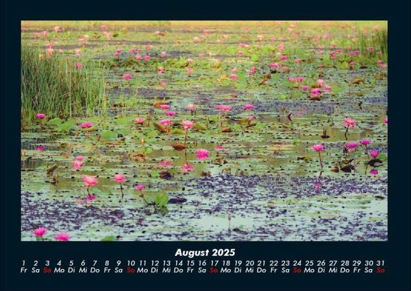 Produktbild: Rosen-Kalender 2025 Fotokalender DIN A4