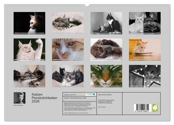 Produktbild: Katzen Pers&ouml;nlichkeiten 2026 (hochwertiger Premium Wandkalender 2026 DIN A2 quer), Kunstdruck in Hochglanz