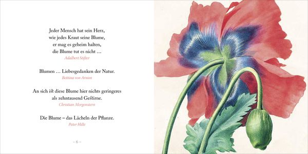 Produktbild: Weise gehen in den Garten