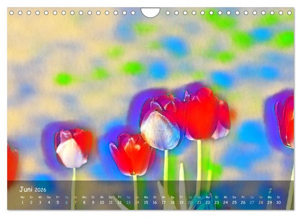 Produktbild: Surreales Farbspiel (Wandkalender 2026 DIN A4 quer), CALVENDO Monatskalender