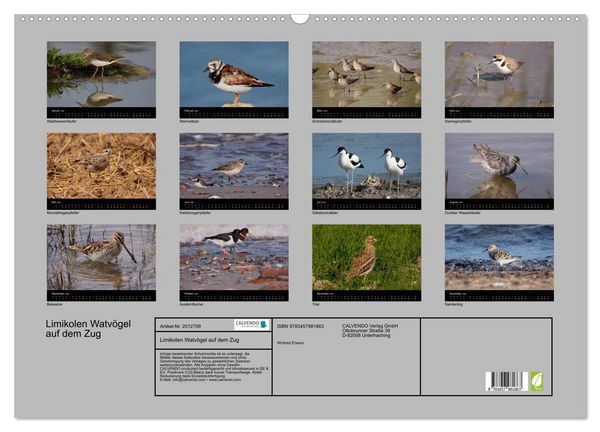 Produktbild: Limikolen Watv&ouml;gel auf dem Zug (Wandkalender 2026 DIN A2 quer), CALVENDO Monatskalender
