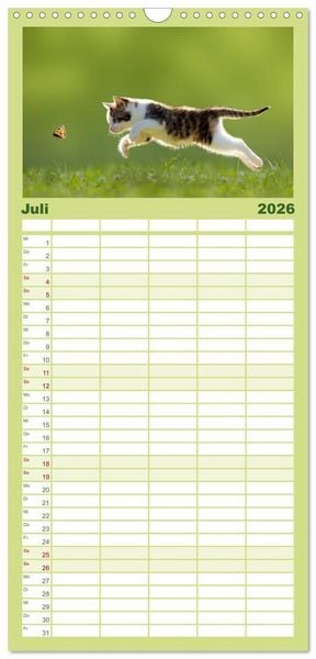 Produktbild: Familienplaner 2026 - K&auml;tzchen 2026 mit 5 Spalten (Wandkalender, 21 x 45 cm) CALVENDO