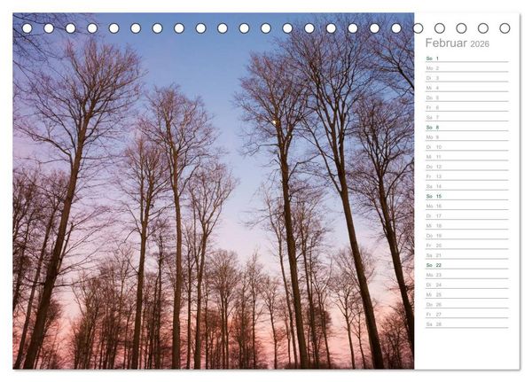 Produktbild: Im Deutschen Wald 2026 - ein Notizkalender (Tischkalender 2026 DIN A5 quer), CALVENDO Monatskalender