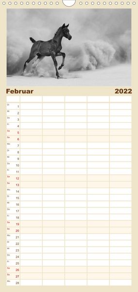 Produktbild: Familienplaner Arabische Pferde (Wandkalender 2022 , 21 cm x 45 cm, hoch)