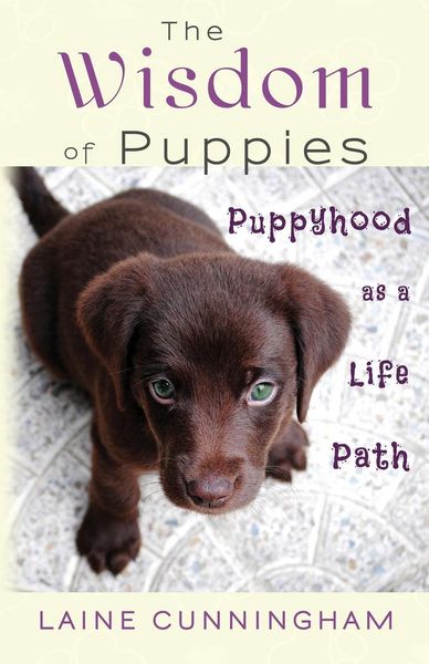 Produktbild: The Wisdom of Puppies