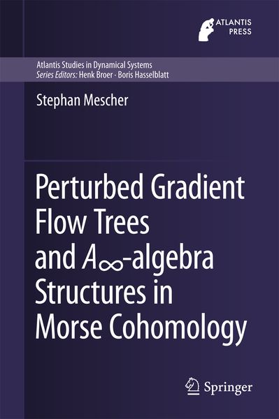 Produktbild: Perturbed Gradient Flow Trees and A&infin;-algebra Structures in Morse Cohomology