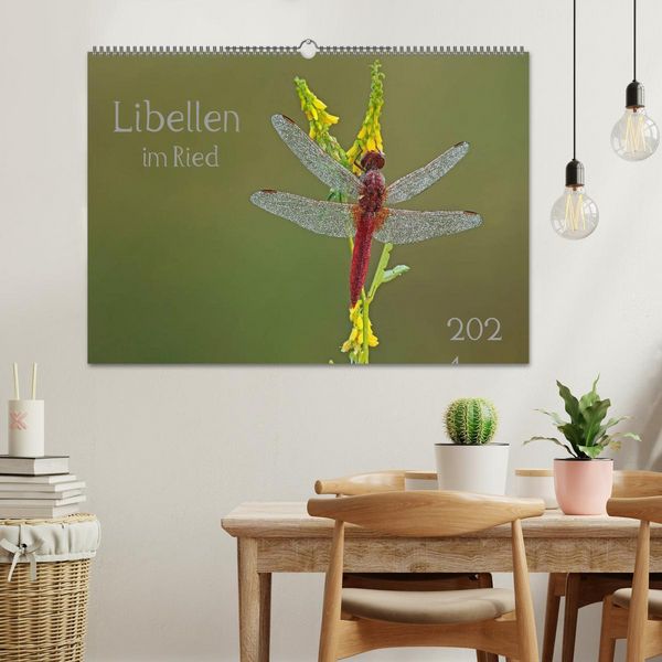Produktbild: Libellen im Ried (Wandkalender 2026 DIN A2 quer), CALVENDO Monatskalender