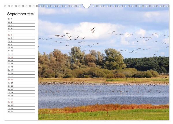 Produktbild: Die Jahreszeiten im Havelland (Wandkalender 2026 DIN A3 quer), CALVENDO Monatskalender