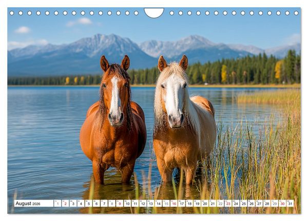 Produktbild: Pferde in freier Natur (Wandkalender 2026 DIN A4 quer), CALVENDO Monatskalender