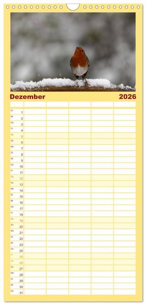 Produktbild: Familienplaner 2026 - Rotkehlchen - Fotografiert von Ostfriesenfotografie mit 5 Spalten (Wandkalender, 21 x 45 cm) CALVENDO