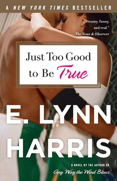 Produktbild: Just Too Good to Be True
