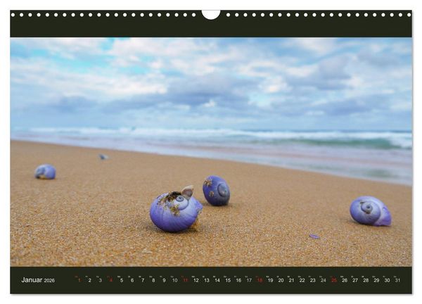 Produktbild: Australien - Farbige Vielfalt (Wandkalender 2026 DIN A3 quer), CALVENDO Monatskalender