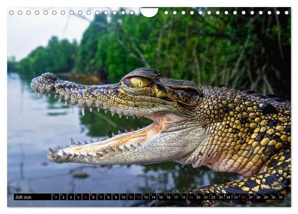 Produktbild: Sri Lanka 2026 &ndash; Exotische Welt (Wandkalender 2026 DIN A4 quer), CALVENDO Monatskalender