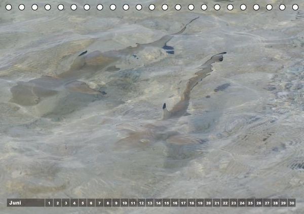 Produktbild: Gili Nanggu - Paradiesische kleine Insel (Tischkalender immerw&auml;hrend DIN A5 quer)
