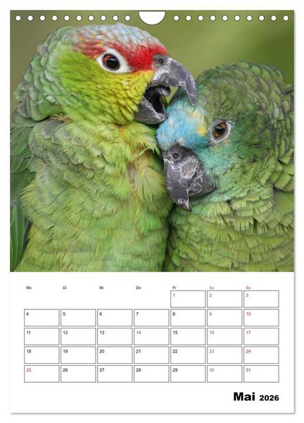 Produktbild: Papageien - Graupapagei, Rosella und Co. (Wandkalender 2026 DIN A4 hoch), CALVENDO Monatskalender