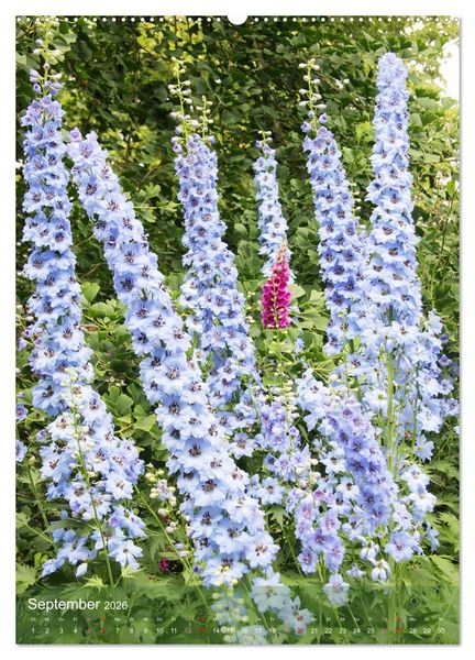 Produktbild: Ferien im Garten (Wandkalender 2026 DIN A2 hoch), CALVENDO Monatskalender