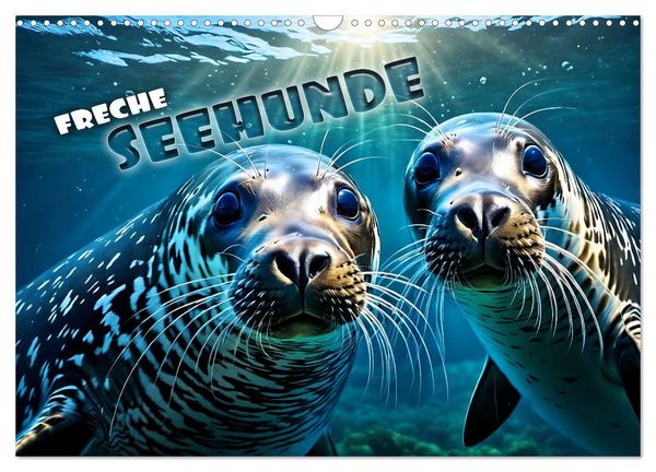 Produktbild: Freche Seehunde (Wandkalender 2026 DIN A3 quer), CALVENDO Monatskalender