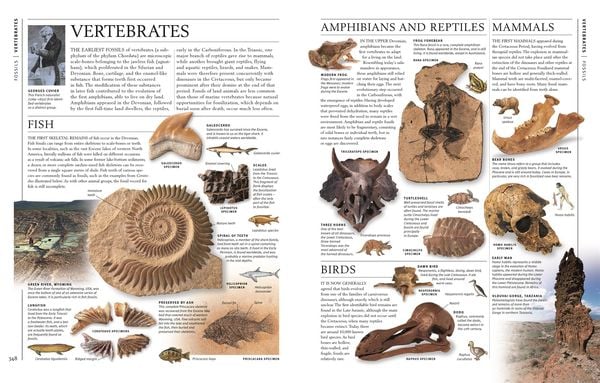 Produktbild: Steine & Mineralien