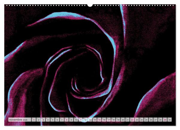 Produktbild: Roses peintes (Calendrier mural 2026 DIN A2 vertical) calendrier de bureau