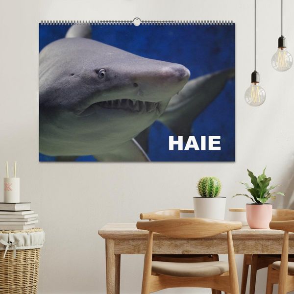 Produktbild: Haie (Wandkalender 2026 DIN A2 quer), CALVENDO Monatskalender