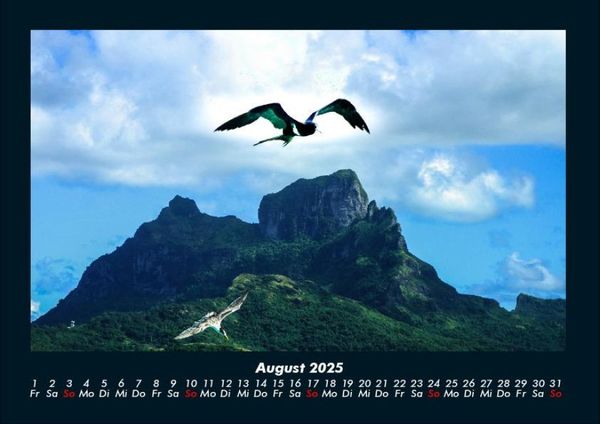 Produktbild: M&ouml;wen 2025 Fotokalender DIN A4