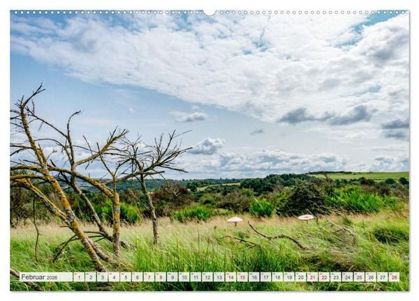 Produktbild: Nationalpark Eifel - Sch&ouml;ne Tage im Gr&uuml;nen (hochwertiger Premium Wandkalender 2026 DIN A2 quer), Kunstdruck in Hochglanz