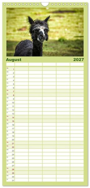 Produktbild: Familienplaner 2027 - Unter Lamas und Alpakas mit 5 Spalten (Wandkalender, 21 x 45 cm) CALVENDO