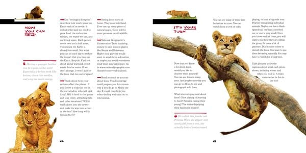Produktbild: Face to Face with Lions